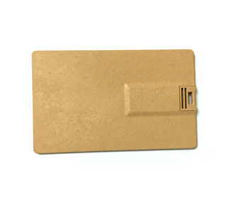 Degradable material card usb LWU882