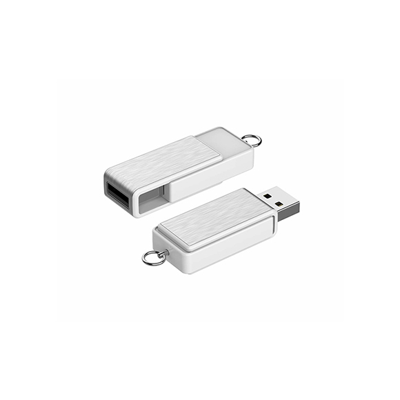 2019 private mould new push & pull style usb pen drive LWU1085
