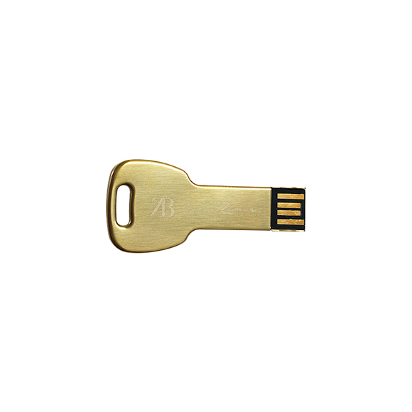 New 1gb 2gb 4gb 8gb 16gb 32gb 64gb 128gb Metal key shaped usb drive LWU637