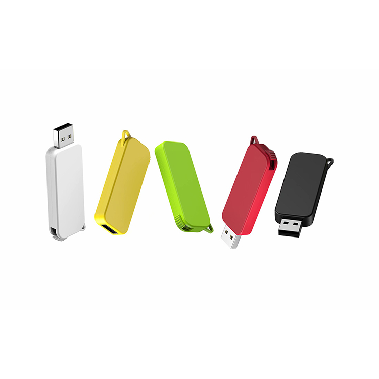 private mould slide tyle usb drive LWU1174