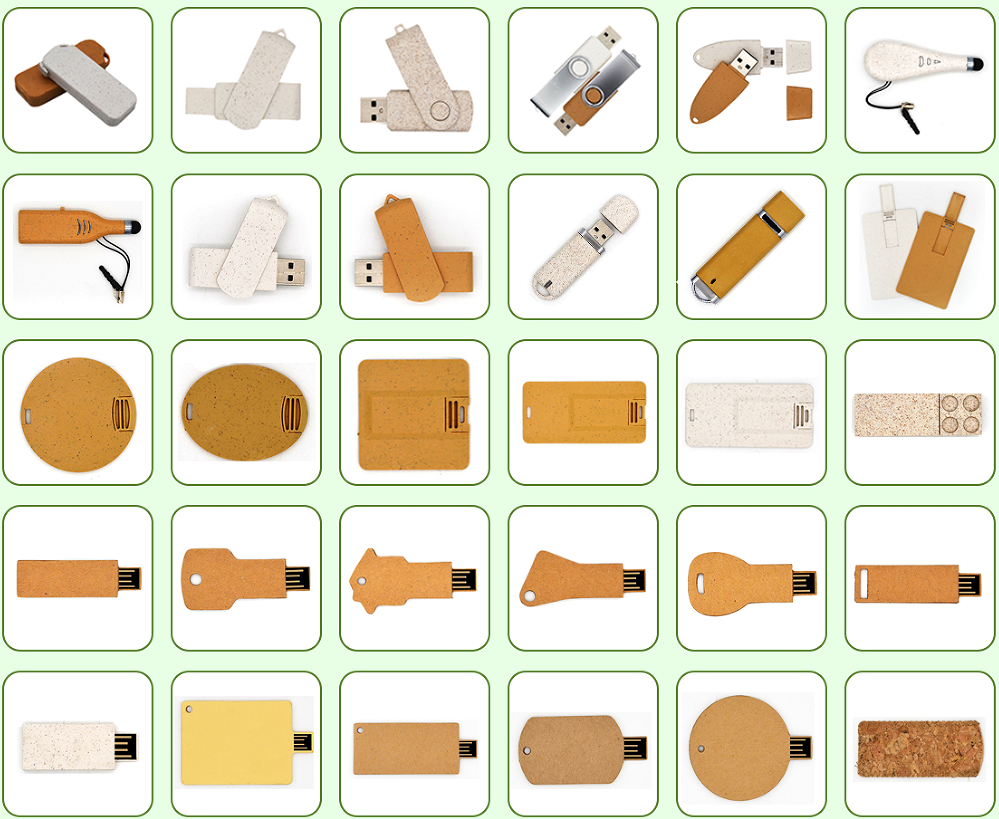 The Gospel of Humanity: ECO-friendly degradable USB drive