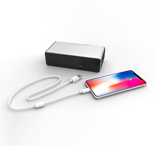 Wireless Charger Clock Speaker with radio LWS-6019