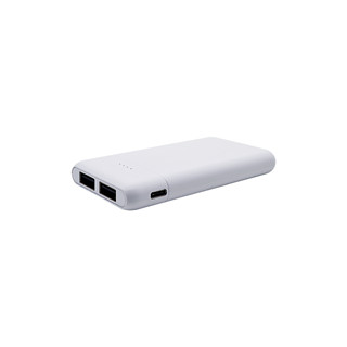 5000mAh small size Power Bank LWS-8021